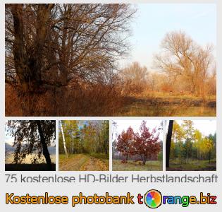 Bilddatenbank tOrange bietet kostenlosen Fotos aus dem Bereich:  herbstlandschaft
