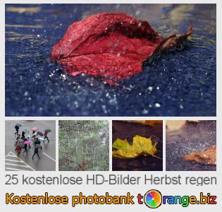 Bilddatenbank tOrange bietet kostenlosen Fotos aus dem Bereich:  herbst-regen