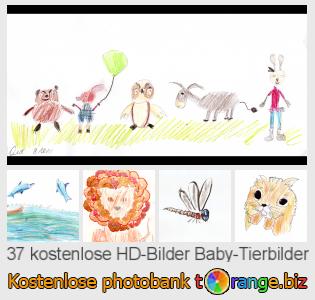 Bilddatenbank tOrange bietet kostenlosen Fotos aus dem Bereich:  baby-tierbilder