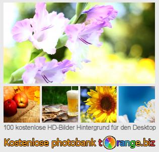 Bilddatenbank tOrange bietet kostenlosen Fotos aus dem Bereich:  hintergrund-für-den-desktop