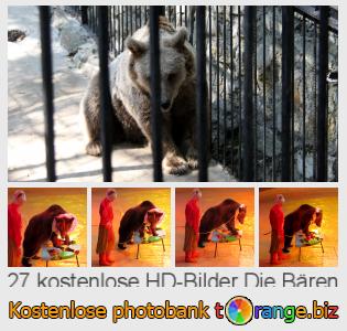 Bilddatenbank tOrange bietet kostenlosen Fotos aus dem Bereich:  die-bären