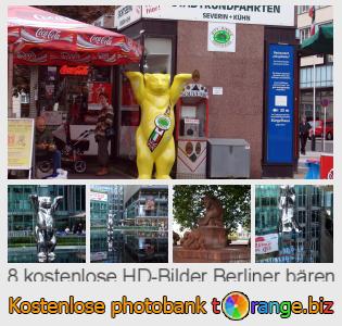 Bilddatenbank tOrange bietet kostenlosen Fotos aus dem Bereich:  berliner-bären