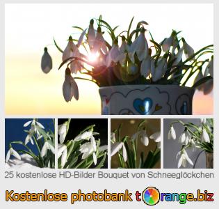 Bilddatenbank tOrange bietet kostenlosen Fotos aus dem Bereich:  bouquet-von-schneeglöckchen