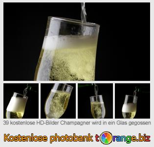 Bilddatenbank tOrange bietet kostenlosen Fotos aus dem Bereich:  champagner-wird-ein-glas-gegossen
