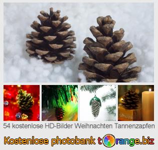 Bilddatenbank tOrange bietet kostenlosen Fotos aus dem Bereich:  weihnachten-tannenzapfen