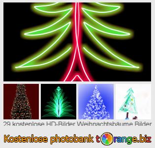 Bilddatenbank tOrange bietet kostenlosen Fotos aus dem Bereich:  weihnachtsbäume-bilder