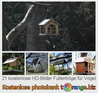 Bilddatenbank tOrange bietet kostenlosen Fotos aus dem Bereich:  futtertröge-für-vögel