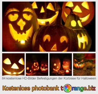 Bilddatenbank tOrange bietet kostenlosen Fotos aus dem Bereich:  befestigungen-der-kürbisse-für-halloween