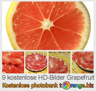 Bilddatenbank tOrange bietet kostenlosen Fotos aus dem Bereich:  grapefruit