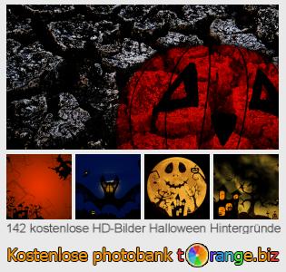 Bilddatenbank tOrange bietet kostenlosen Fotos aus dem Bereich:  halloween-hintergründe