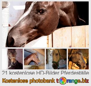 Bilddatenbank tOrange bietet kostenlosen Fotos aus dem Bereich:  pferdeställe