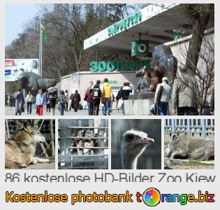 Bilddatenbank tOrange bietet kostenlosen Fotos aus dem Bereich:  zoo-kiew