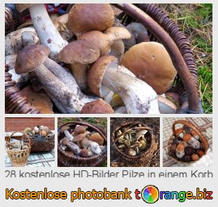 Bilddatenbank tOrange bietet kostenlosen Fotos aus dem Bereich:  pilze-einem-korb