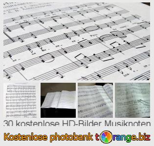 Bilddatenbank tOrange bietet kostenlosen Fotos aus dem Bereich:  musiknoten