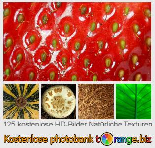 Bilddatenbank tOrange bietet kostenlosen Fotos aus dem Bereich:  natürliche-texturen