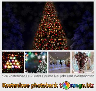 Bilddatenbank tOrange bietet kostenlosen Fotos aus dem Bereich:  bäume-neujahr-und-weihnachten