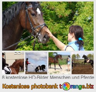Bilddatenbank tOrange bietet kostenlosen Fotos aus dem Bereich:  menschen-und-pferde