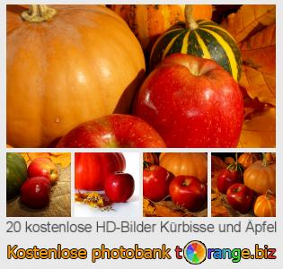 Bilddatenbank tOrange bietet kostenlosen Fotos aus dem Bereich:  kürbisse-und-äpfel