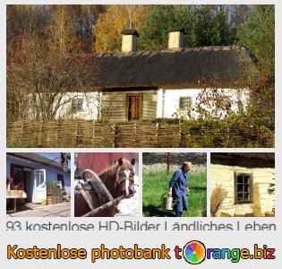 Bilddatenbank tOrange bietet kostenlosen Fotos aus dem Bereich:  ländliches-leben