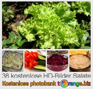Bilddatenbank tOrange bietet kostenlosen Fotos aus dem Bereich:  salate