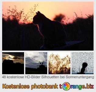 Bilddatenbank tOrange bietet kostenlosen Fotos aus dem Bereich:  silhouetten-bei-sonnenuntergang