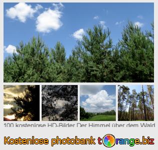 Bilddatenbank tOrange bietet kostenlosen Fotos aus dem Bereich:  der-himmel-über-dem-wald