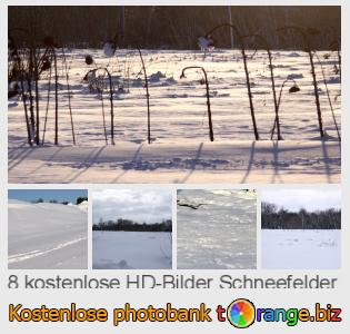 Bilddatenbank tOrange bietet kostenlosen Fotos aus dem Bereich:  schneefelder