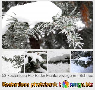 Bilddatenbank tOrange bietet kostenlosen Fotos aus dem Bereich:  fichtenzweige-mit-schnee
