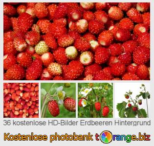 Bilddatenbank tOrange bietet kostenlosen Fotos aus dem Bereich:  erdbeeren-hintergrund