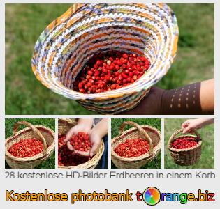 Bilddatenbank tOrange bietet kostenlosen Fotos aus dem Bereich:  erdbeeren-einem-korb