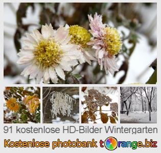 Bilddatenbank tOrange bietet kostenlosen Fotos aus dem Bereich:  wintergarten