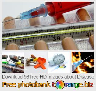 images free photo bank tOrange offers free photos from the section:  disease