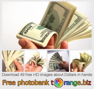 images free photo bank tOrange offers free photos from the section:  dollars-hands