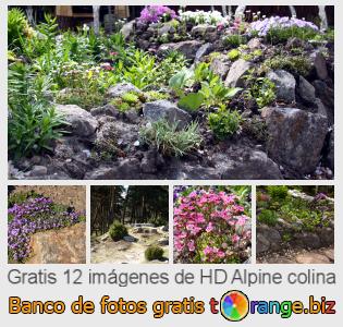 Banco de imagen tOrange ofrece fotos gratis de la sección:  alpine-colina