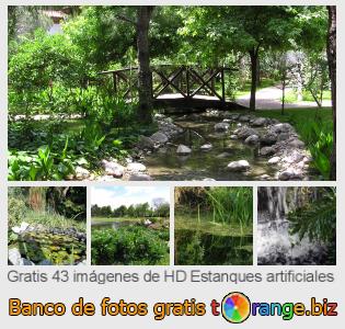 Banco de imagen tOrange ofrece fotos gratis de la sección:  estanques-artificiales