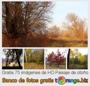 Banco de imagen tOrange ofrece fotos gratis de la sección:  paisaje-de-otoño
