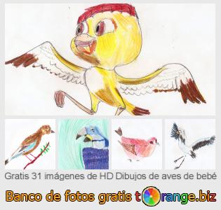 Banco de imagen tOrange ofrece fotos gratis de la sección:  dibujos-de-aves-de-bebé