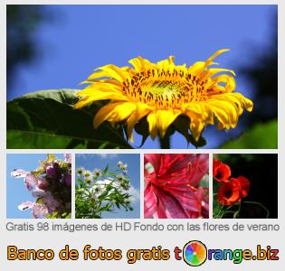 Banco de imagen tOrange ofrece fotos gratis de la sección:  fondo-con-las-flores-de-verano
