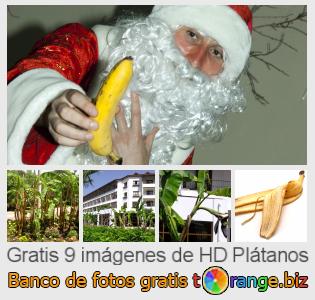 Banco de imagen tOrange ofrece fotos gratis de la sección:  plátanos