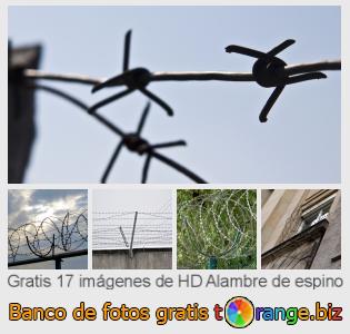 Banco de imagen tOrange ofrece fotos gratis de la sección:  alambre-de-espino