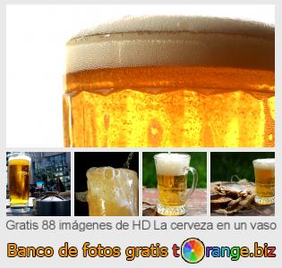 Banco de imagen tOrange ofrece fotos gratis de la sección:  la-cerveza-en-un-vaso