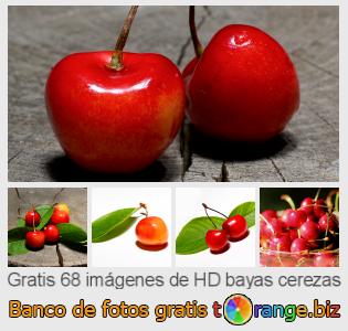 Banco de imagen tOrange ofrece fotos gratis de la sección:  bayas-cerezas