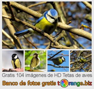Banco de imagen tOrange ofrece fotos gratis de la sección:  tetas-de-aves