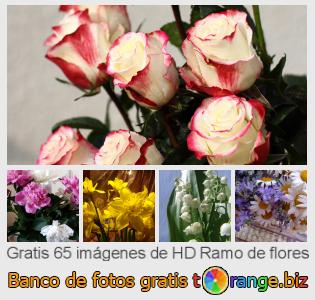 Banco de imagen tOrange ofrece fotos gratis de la sección:  ramo-de-flores