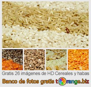 Banco de imagen tOrange ofrece fotos gratis de la sección:  cereales-y-habas
