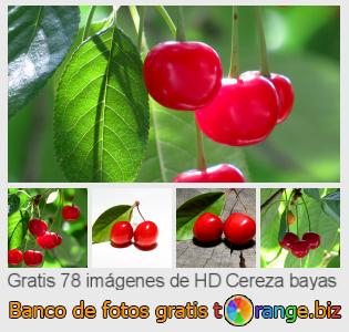 Banco de imagen tOrange ofrece fotos gratis de la sección:  cereza-bayas