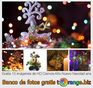 Banco de imagen tOrange ofrece fotos gratis de la sección:  ciervos-año-nuevo-navidad-ans
