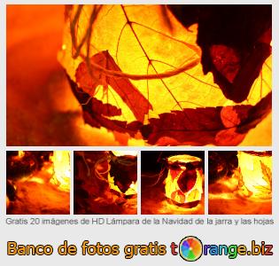 Banco de imagen tOrange ofrece fotos gratis de la sección:  lámpara-de-la-navidad-de-la-jarra-y-las-hojas