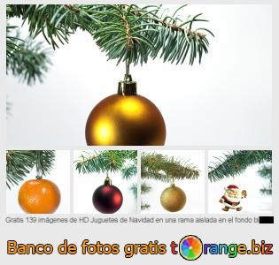 Banco de imagen tOrange ofrece fotos gratis de la sección:  juguetes-de-navidad-en-una-rama-aislada-en-el-fondo-blanco