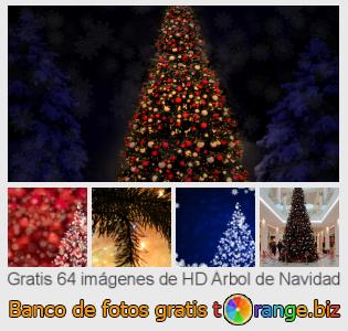 Banco de imagen tOrange ofrece fotos gratis de la sección:  árbol-de-navidad